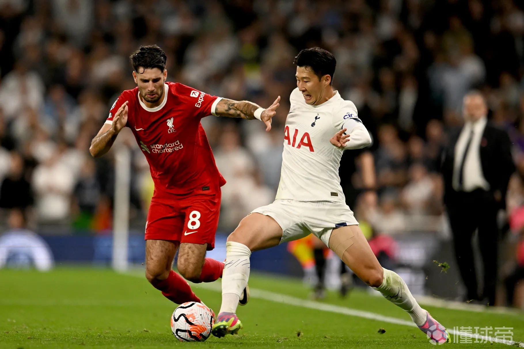 开云体育-排球季后赛上演强强对话，辽东貔貅队大胜皖江灰熊队，战术调整见效；关键战拿下信心的简单介绍