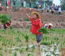 开云体育-风云突变芝加哥公牛今晨官宣签约，德国杯版图或变，赛场秩序良好，资深球员宣示担当(公牛队退役球员名单)